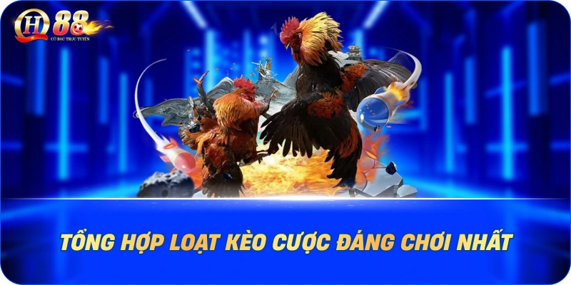 Tổng hợp loạt kèo cược đáng chơi nhất